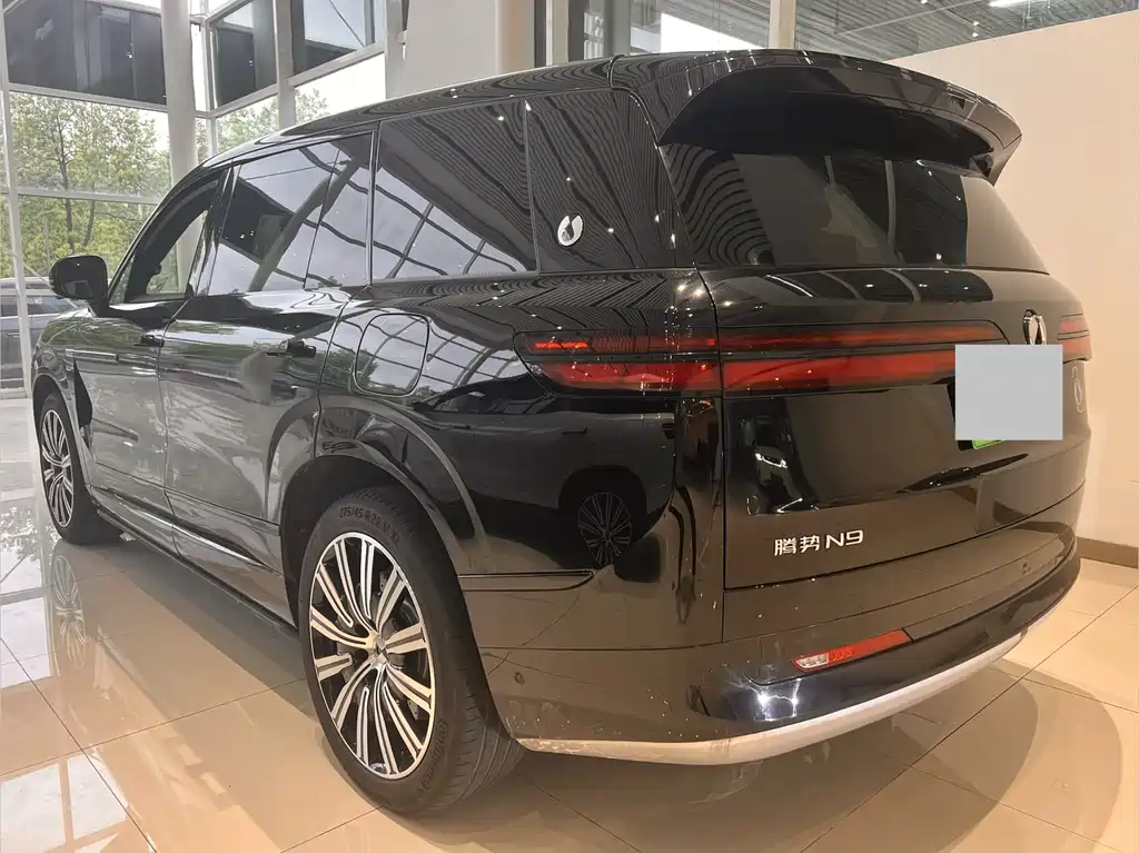 Denza N9 2025 Zunjong Edition