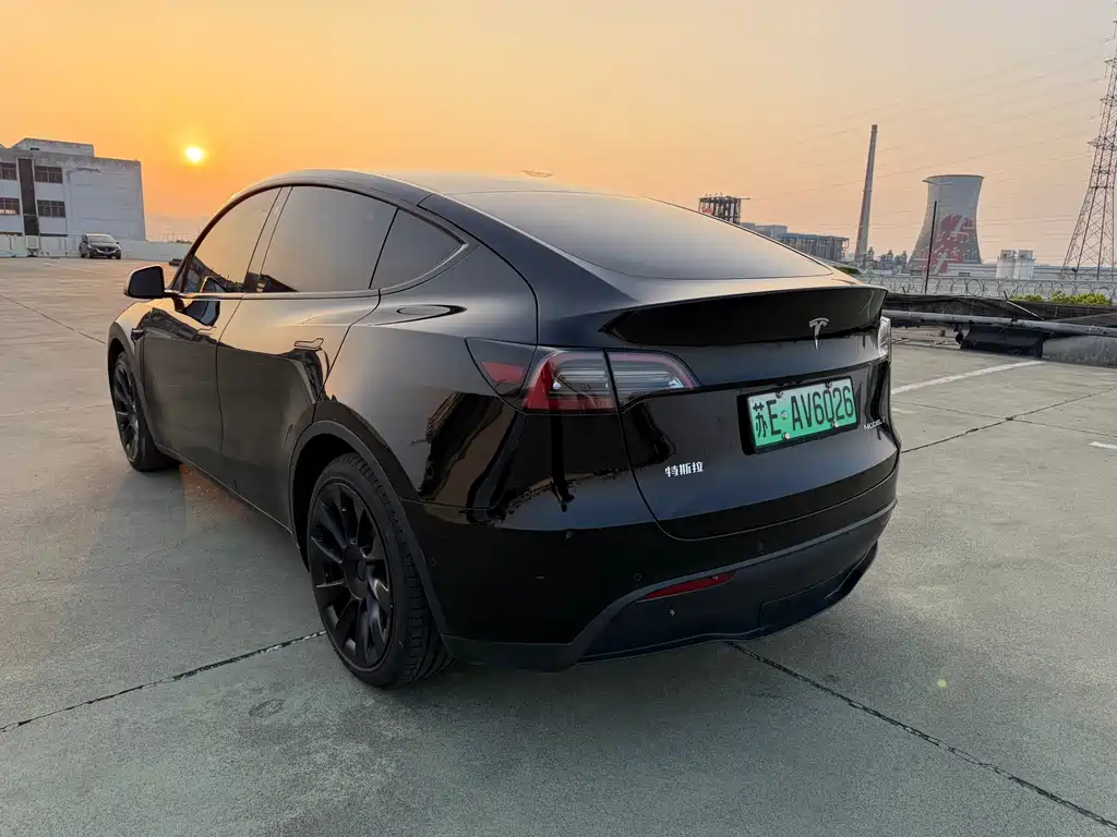 Model Y 2021 Standard Range RWD