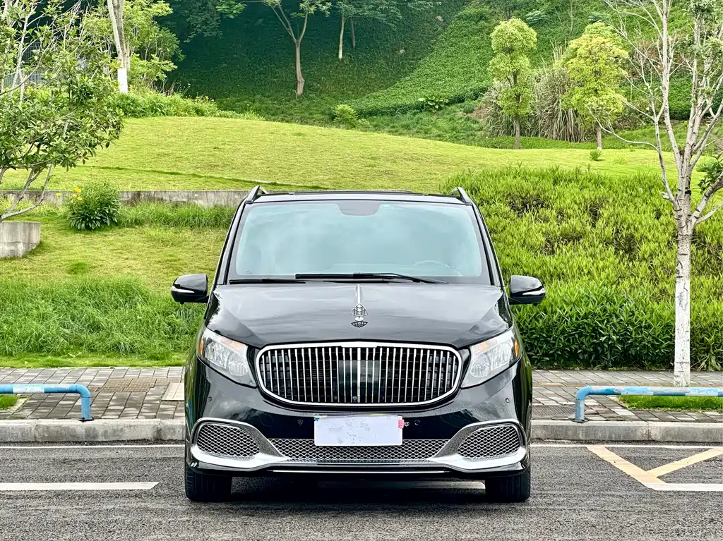 Vito 2018 2.0T Business Edition China V