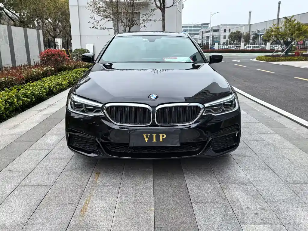 BMW 5 Series 2020 530Li Luxury M Sport Package