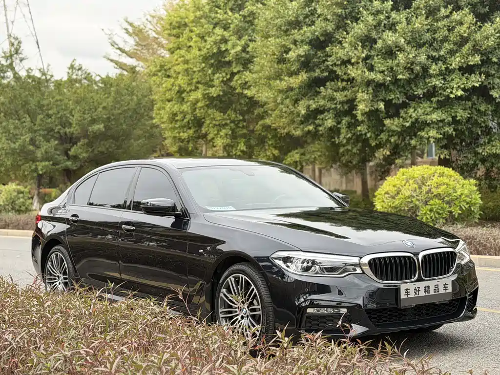 BMW 5 Series 2018 Updated 530Li Leading Model M Sport Package