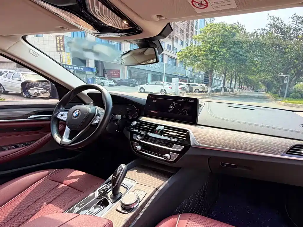 BMW 5 Series 2022 530Li Leading Edition Luxury Package