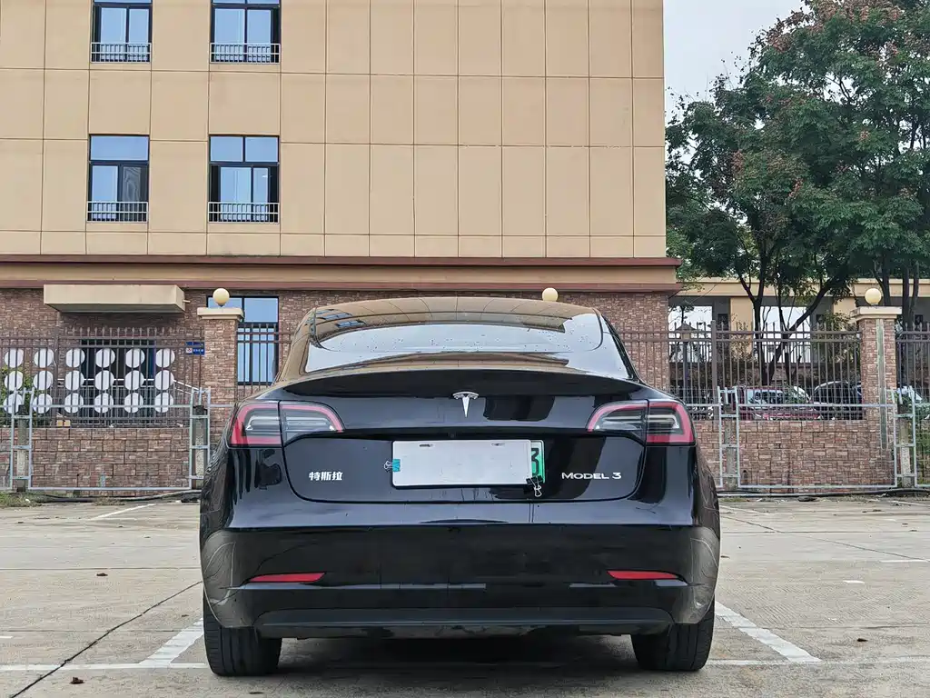 Tesla Model 3 2022 Rear-Wheel Drive