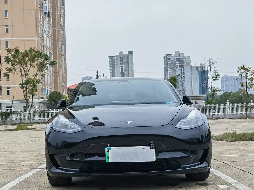 Tesla Model 3 2022 Rear-Wheel Drive