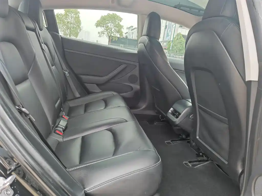 Tesla Model 3 2022 Rear-Wheel Drive