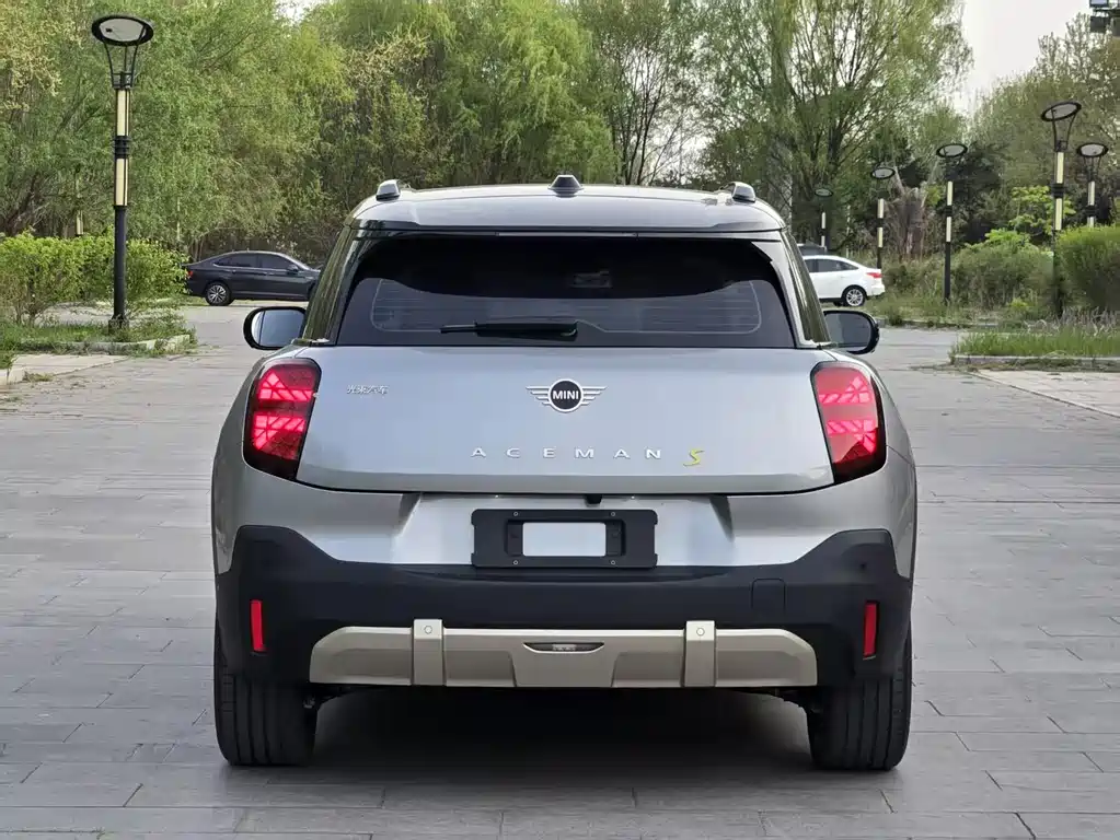 MINI ACEMAN 2025 SE Artist