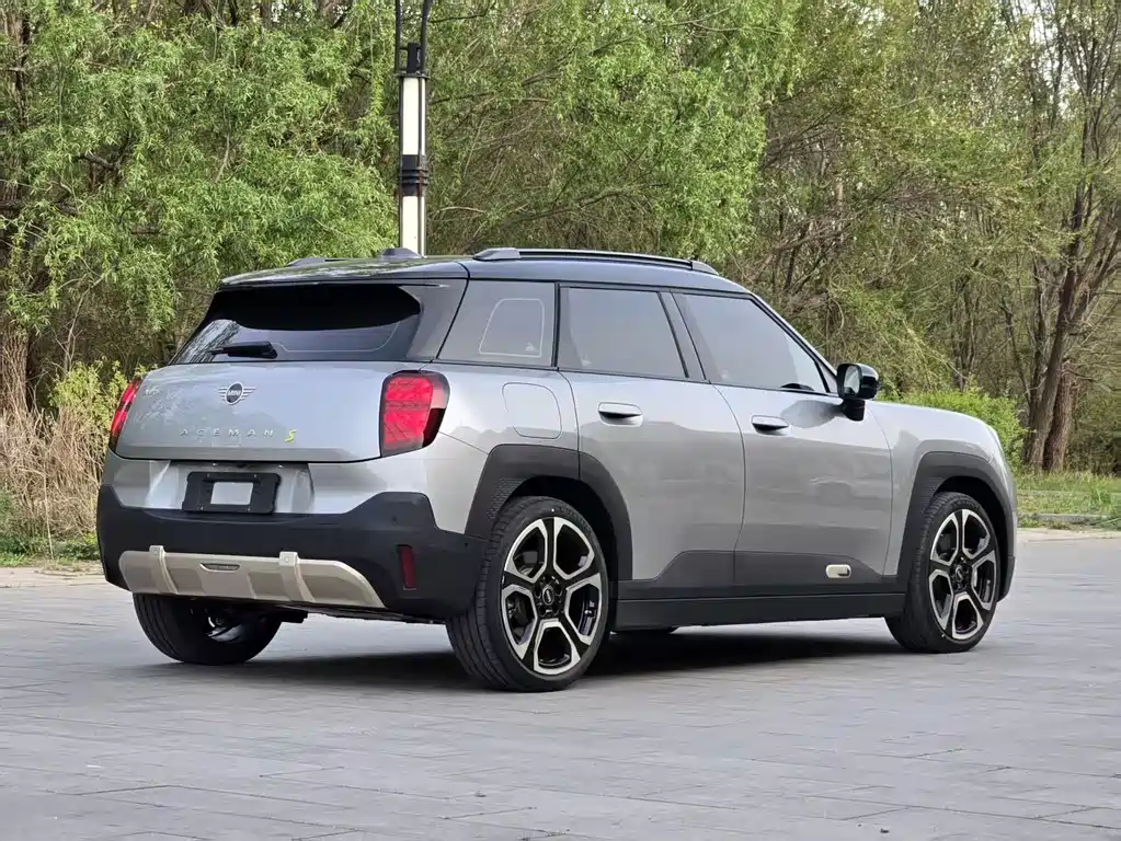 MINI ACEMAN 2025 SE Artist