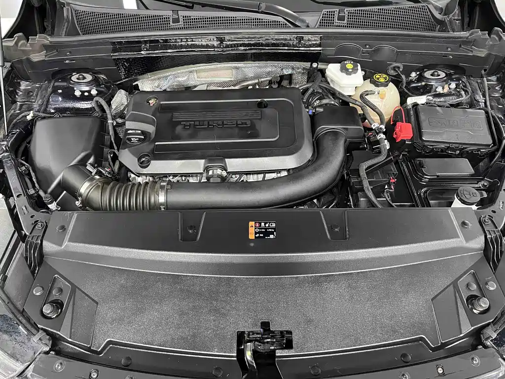 Buick Envision Plus 2021 2.0T Luxury