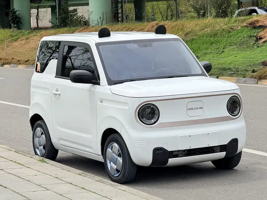 Panda 2023 Panda mini 200km Endurance Bear