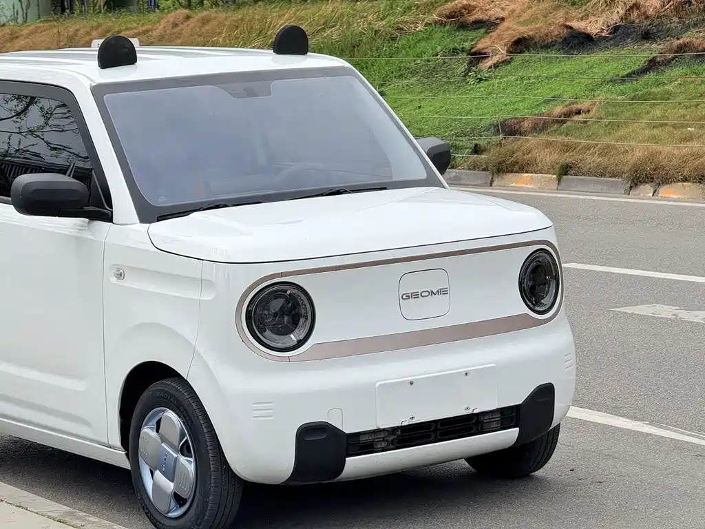 Panda 2023 Panda mini 200km Endurance Bear