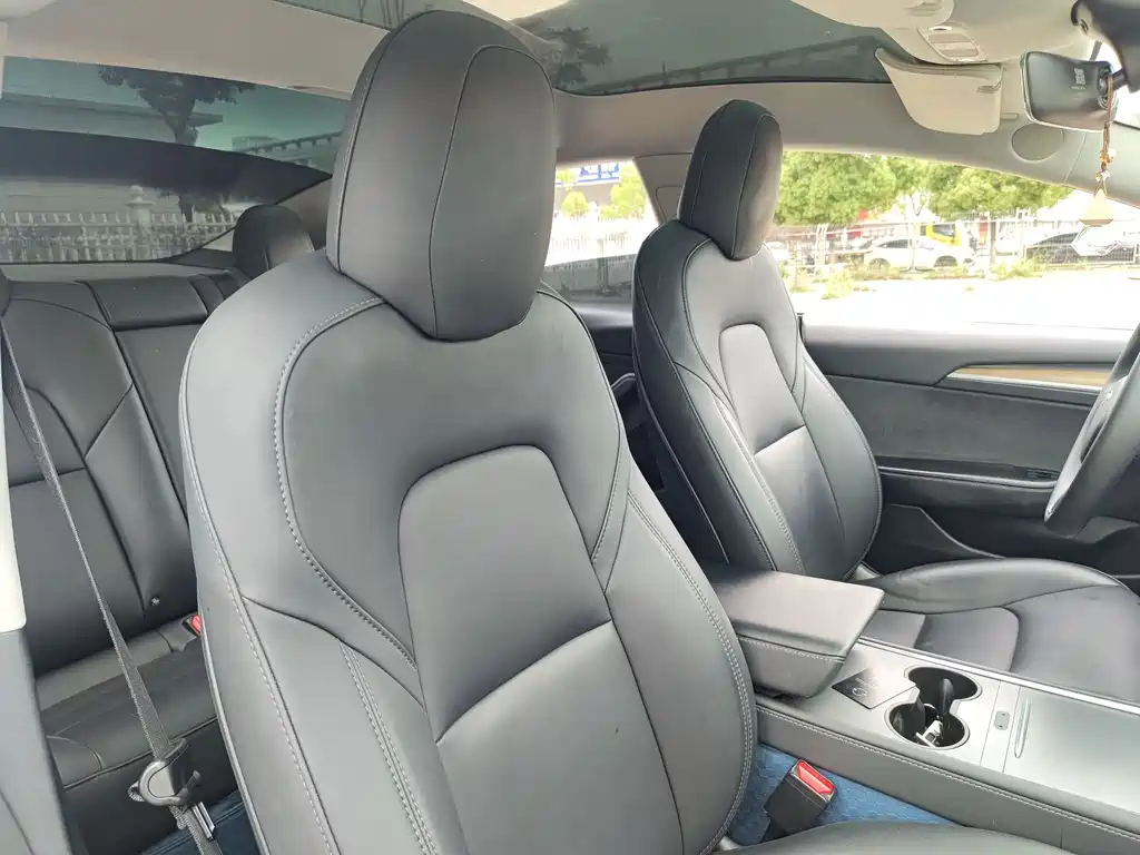 Tesla Model 3 2022 Rear-Wheel Drive