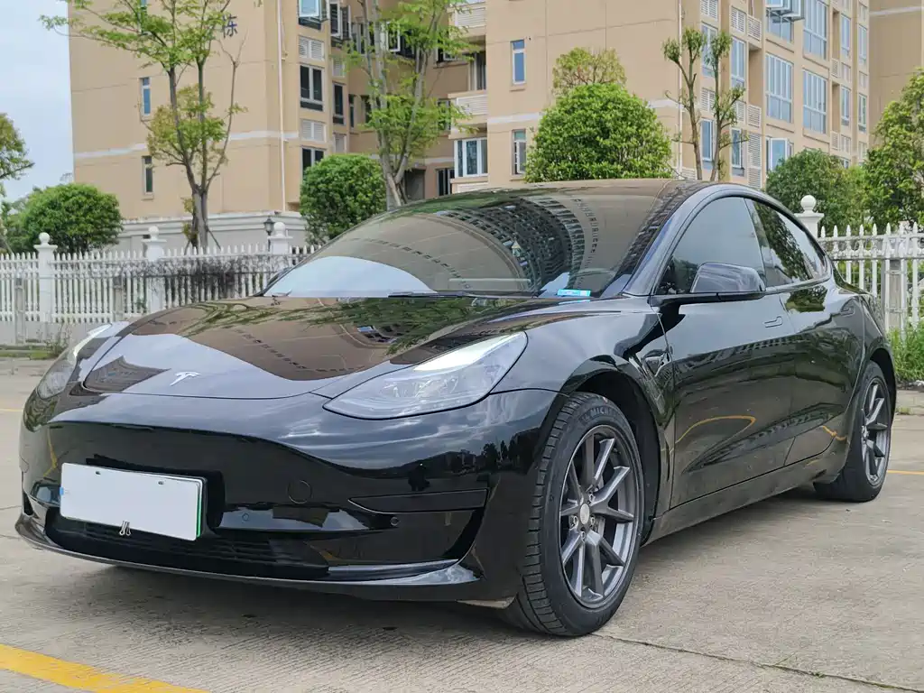 Tesla Model 3 2022 Rear-Wheel Drive
