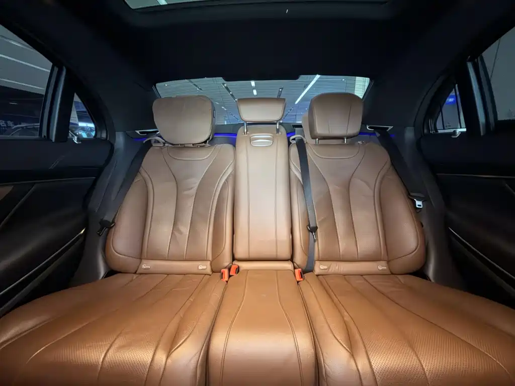 Mercedes-Benz S-Class 2020 S 450 L 4MATIC Zhenzang Edition