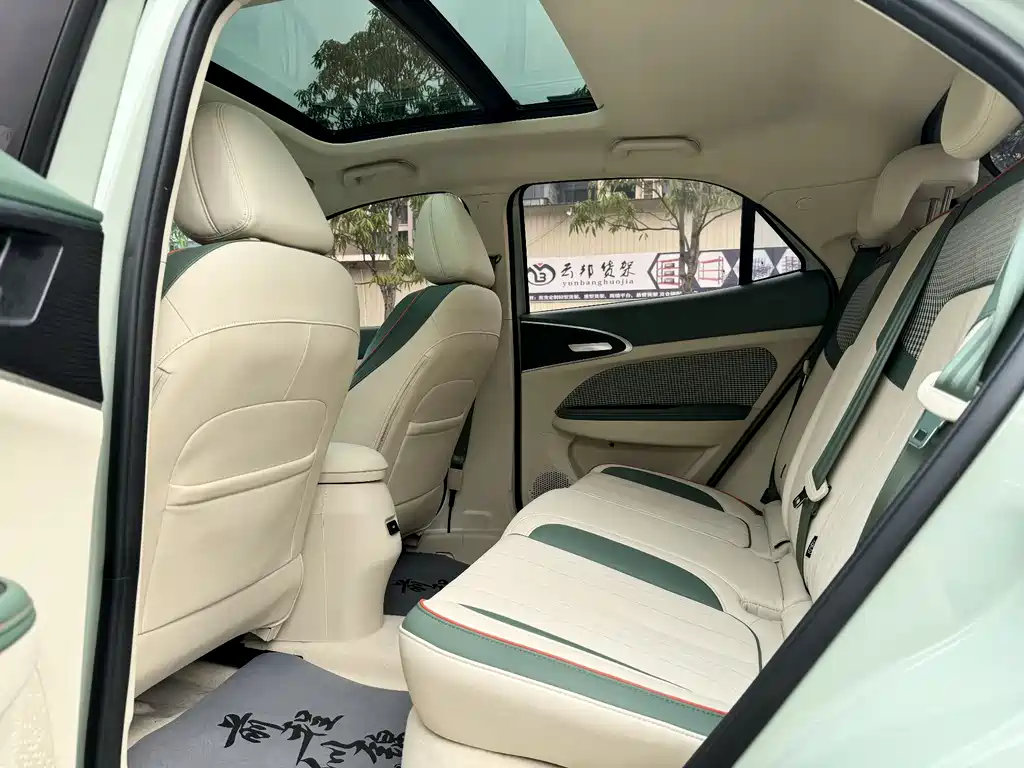 ORA Good Cat 2022 400km Standard Range Premium LFP