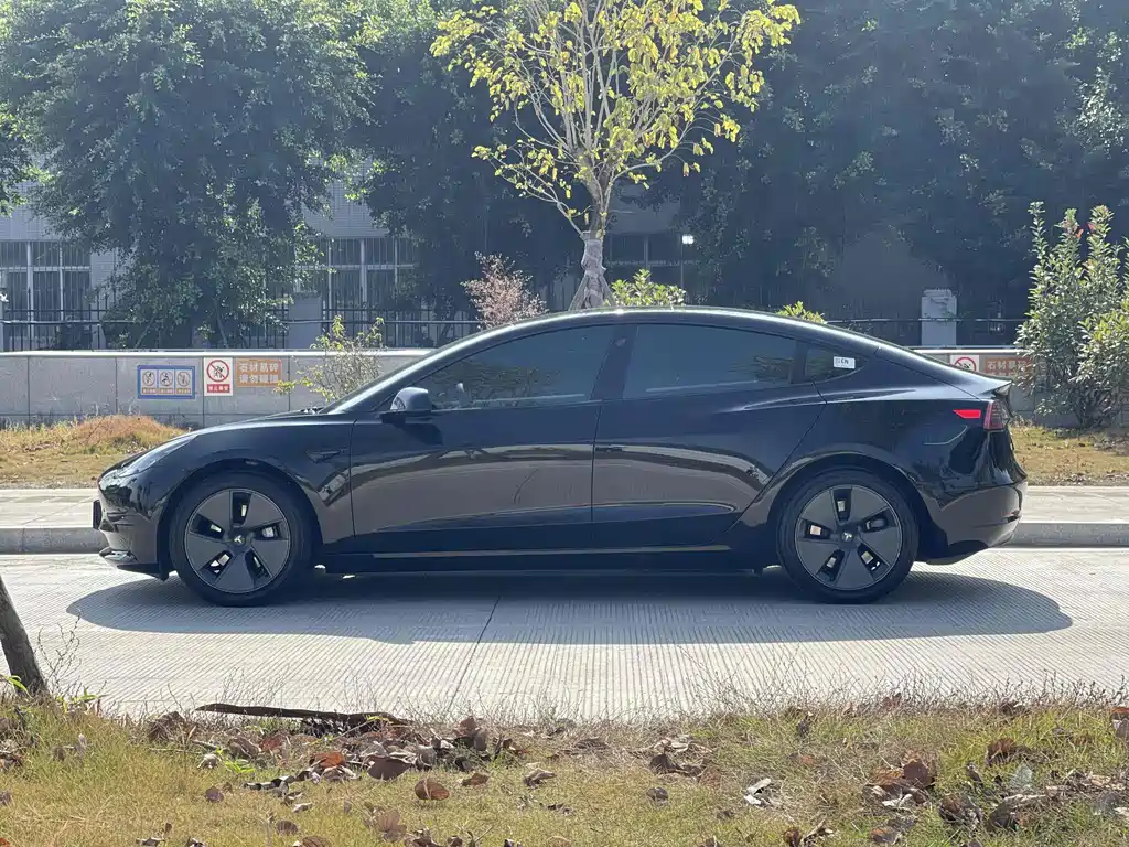 Tesla Model 3 2021 Standard Range Plus RWD