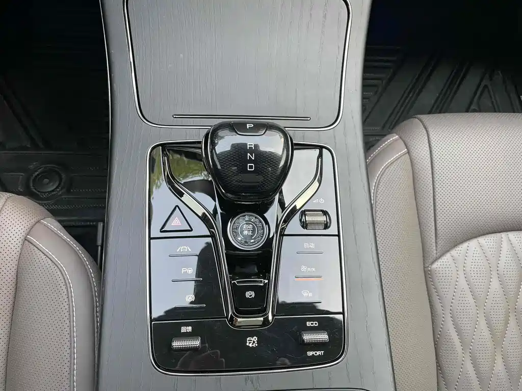 Han 2020 DM AWD Performance Edition Luxury