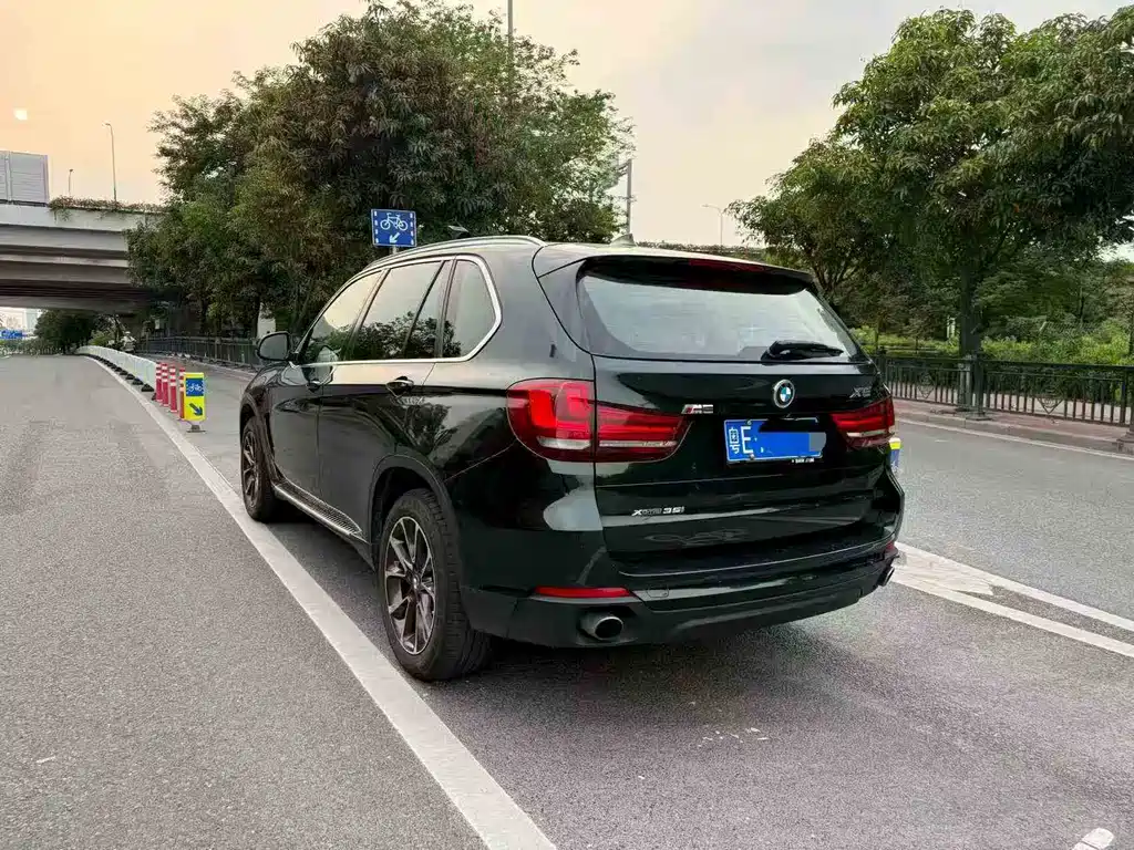 BMW X5 (Import) 2014 xDrive35i Leading Edition
