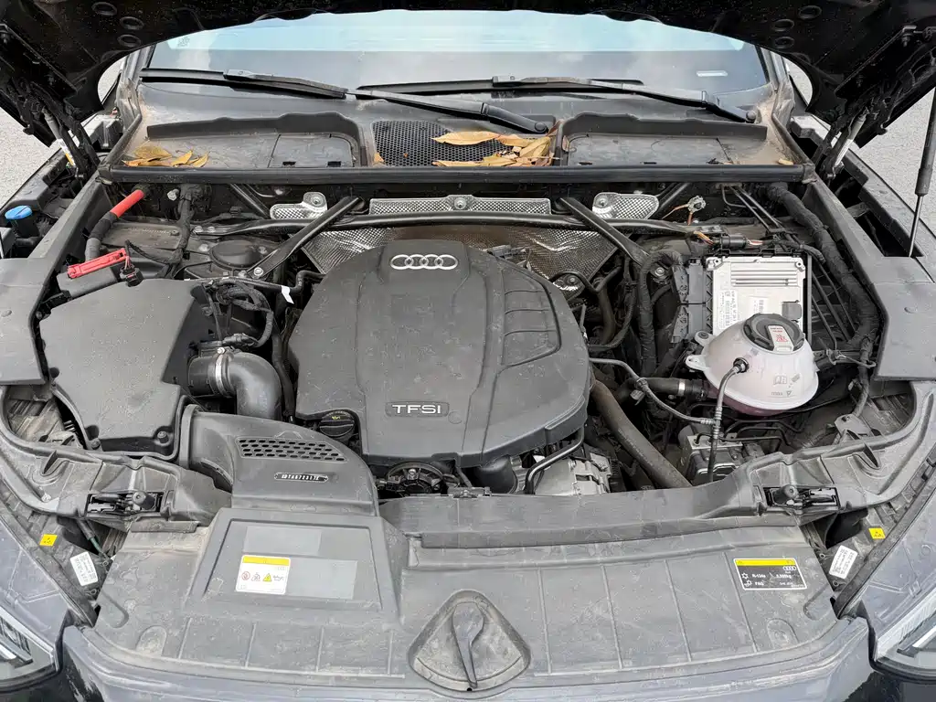 Audi Q5L 2023 40 TFSI Fashion Dynamic Edition