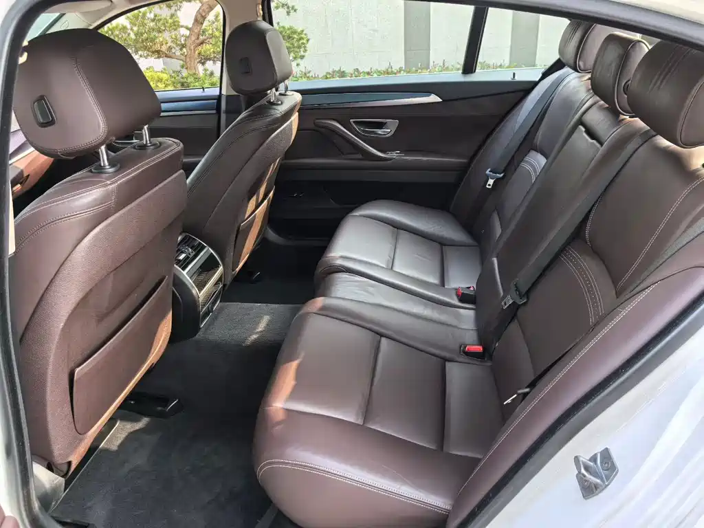 BMW 5 Series 2017 525Li Luxury Design Package
