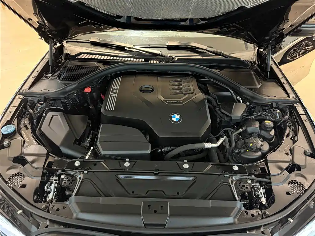 BMW 3 Series 2020 325Li M Sport Package