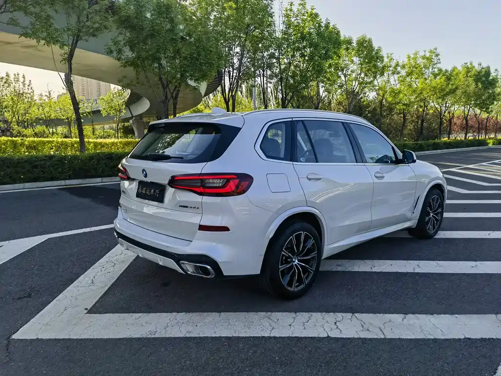 BMW X5 2022 xDrive30Li Premium M Sport Package
