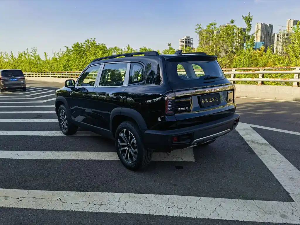 Haval Big Dog 2026 1.5T DCT Border Collie Edition