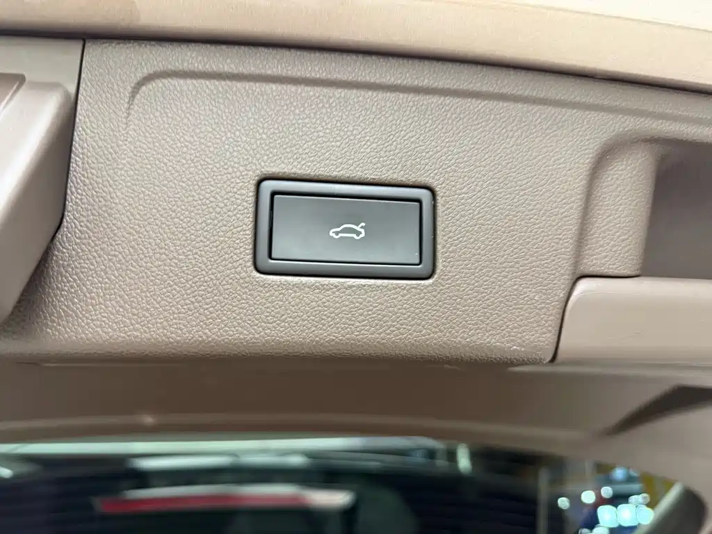 Viloran 2020 330TSI Luxury Edition