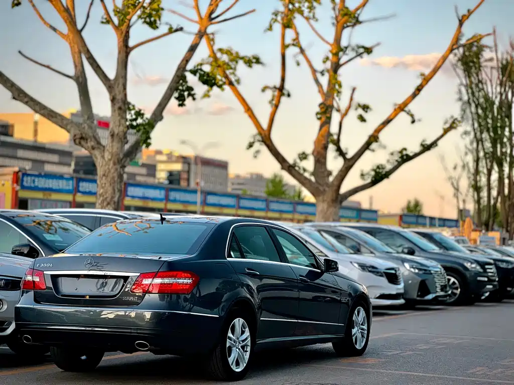 Mercedes-Benz E-Class 2010 E 300 L Elegance