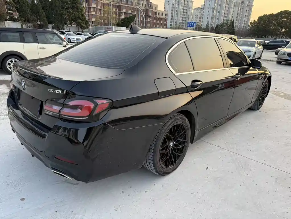 BMW 5 Series 2012 530Li Leading Trim