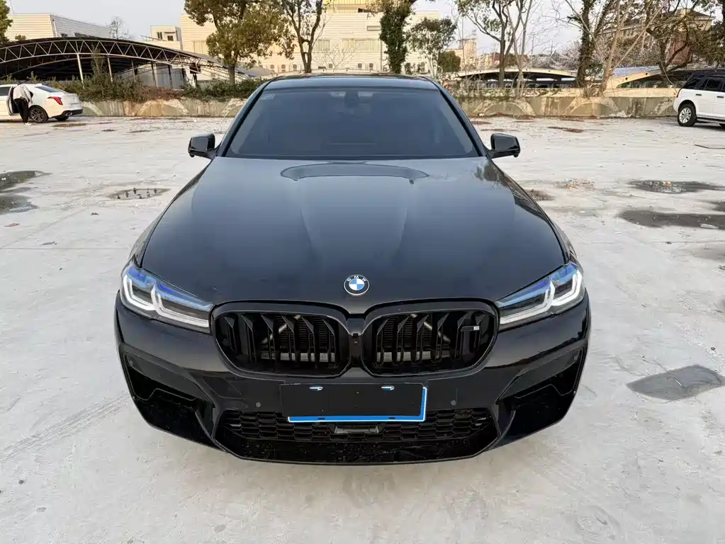 BMW 5 Series 2012 530Li Leading Trim