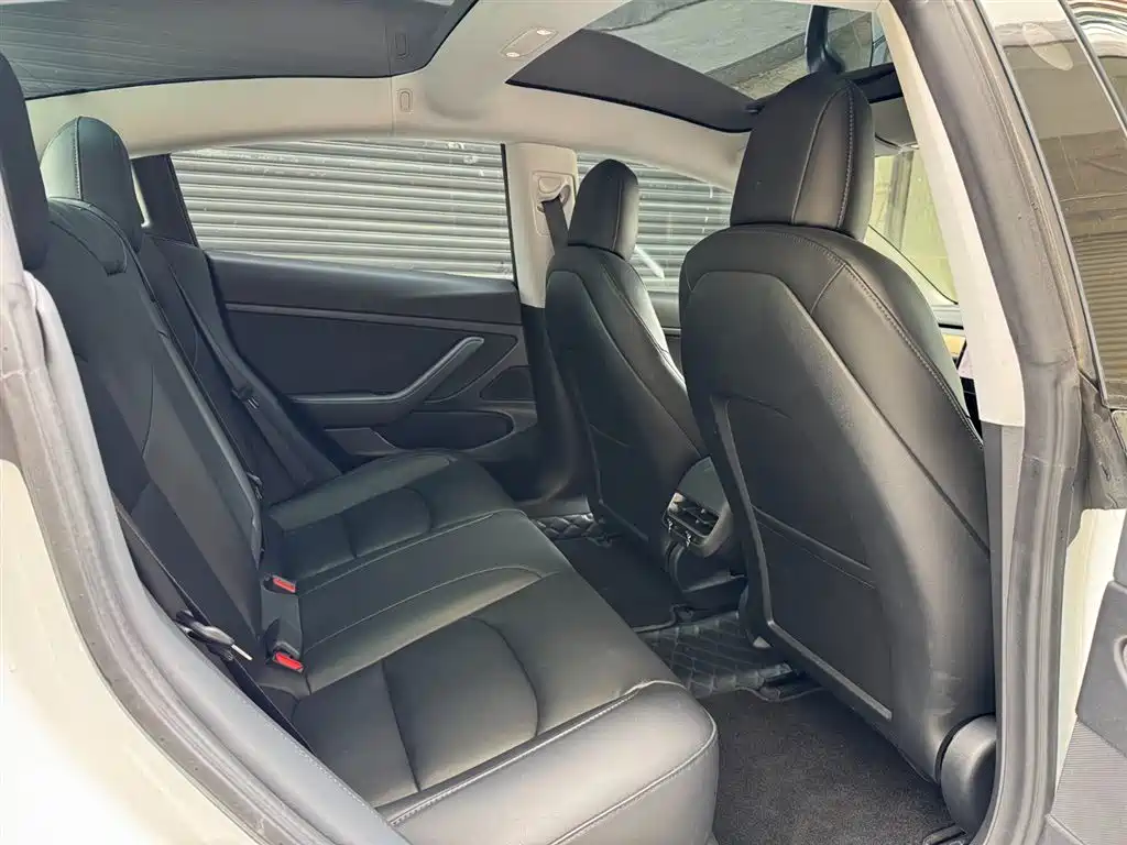 Model 3 2019 Standard Range Plus RWD