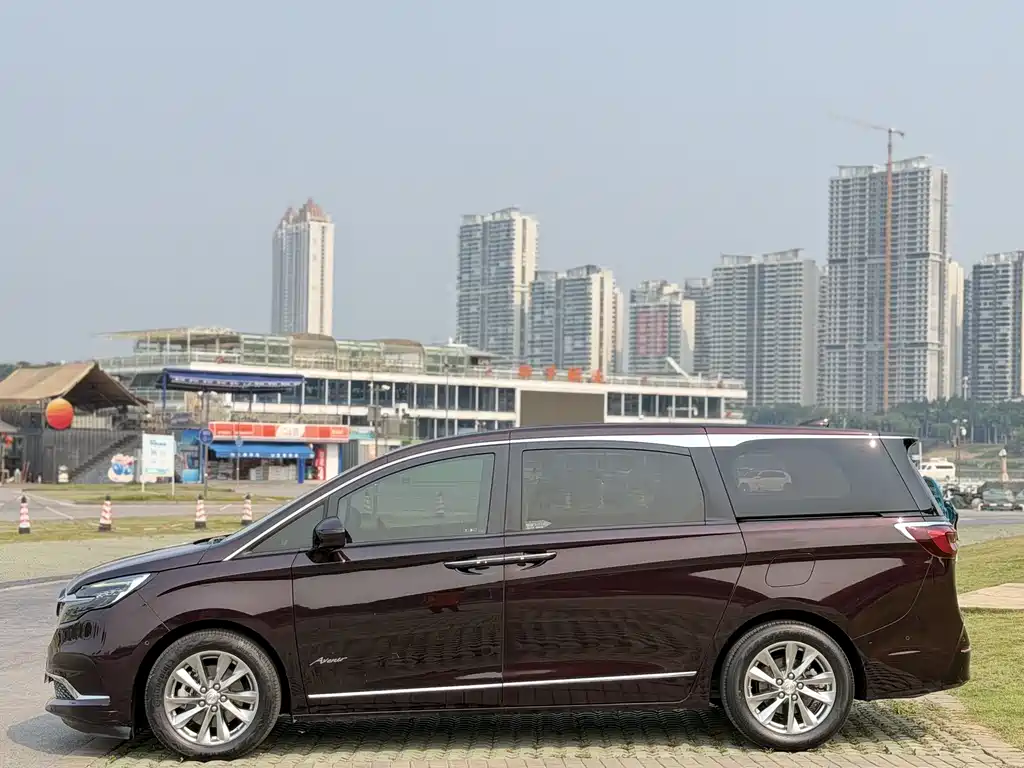 Buick GL8 2020 Avenir 6-Seat Xianli Edition