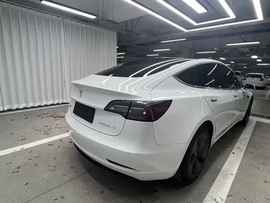 Model 3 2019 Standard Range Plus RWD