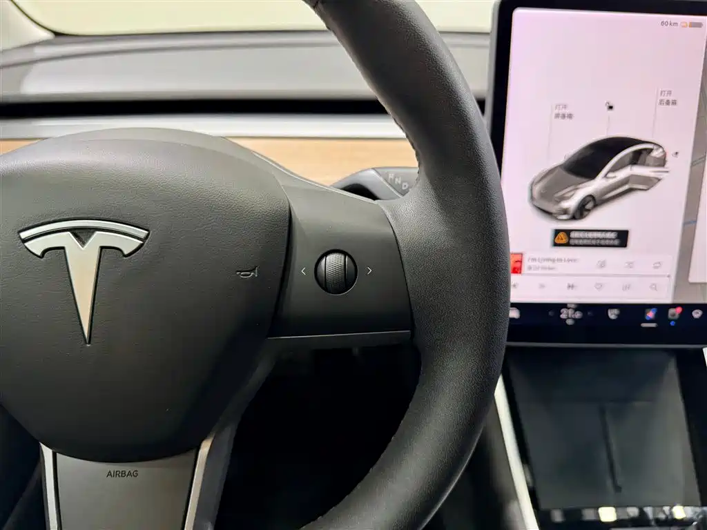 Model 3 2020 Standard Range Plus RWD