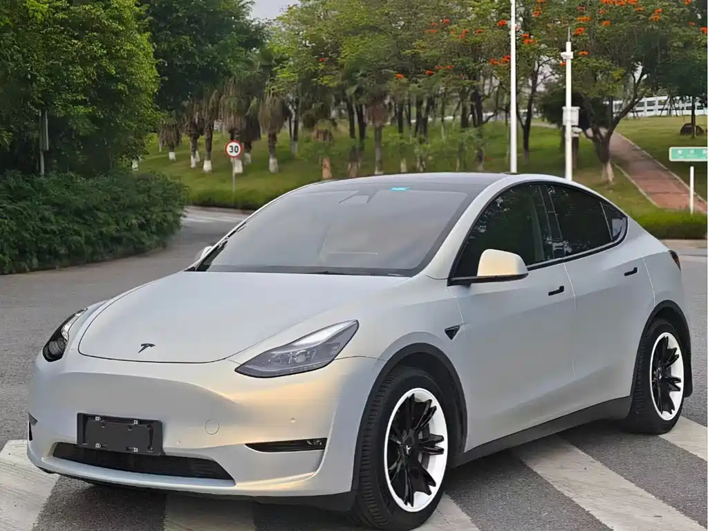Model Y 2021 Standard Range RWD