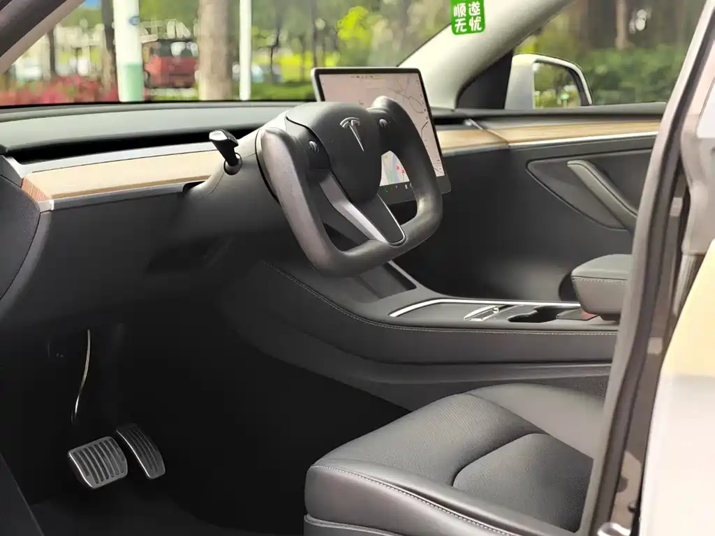Model Y 2021 Standard Range RWD