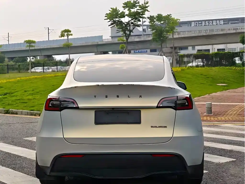 Model Y 2021 Standard Range RWD