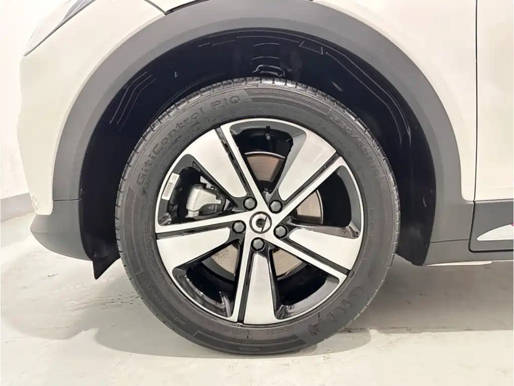 smart #1 2024 Pulse Standard Edition