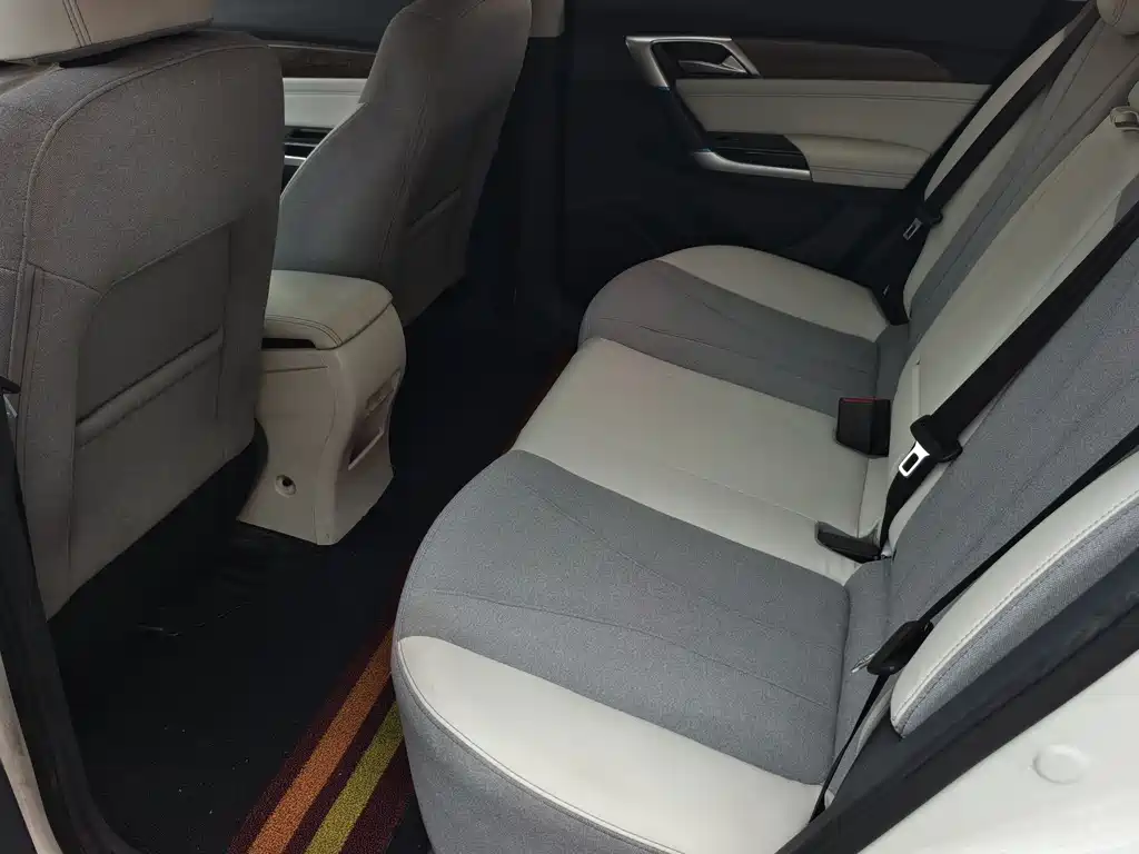 Beijing EU5 2019 R500 Zhifeng Edition