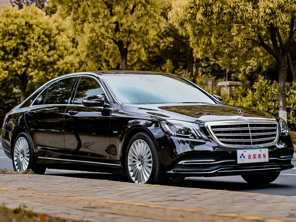 Mercedes-Benz S-Class 2020 S 350 L Business Edition Zhenzang Edition
