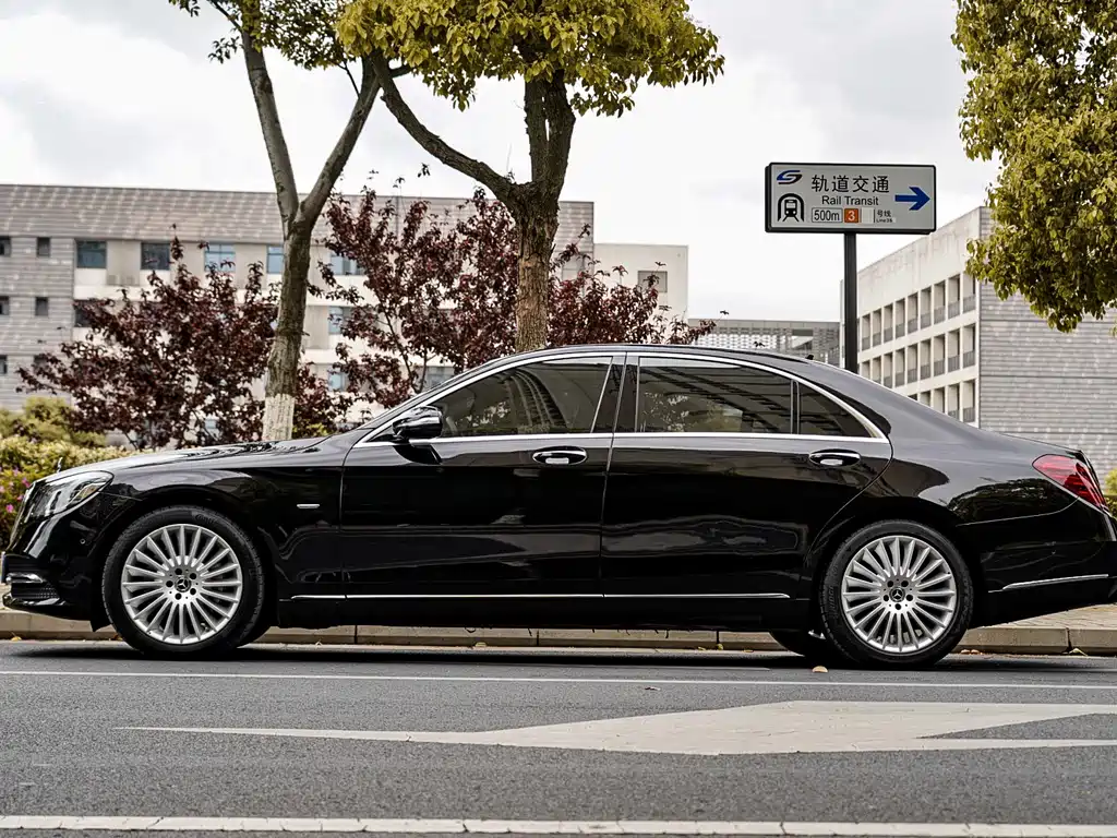Mercedes-Benz S-Class 2020 S 350 L Business Edition Zhenzang Edition