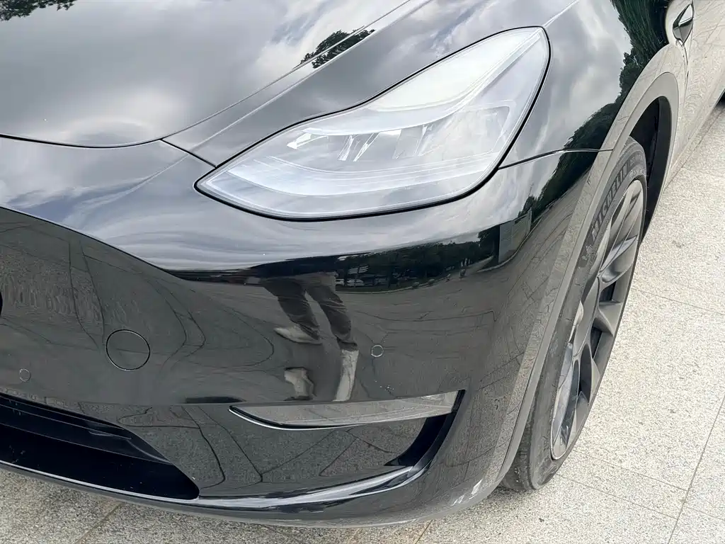 Model Y 2021 Standard Range Rear-Wheel Drive Edition