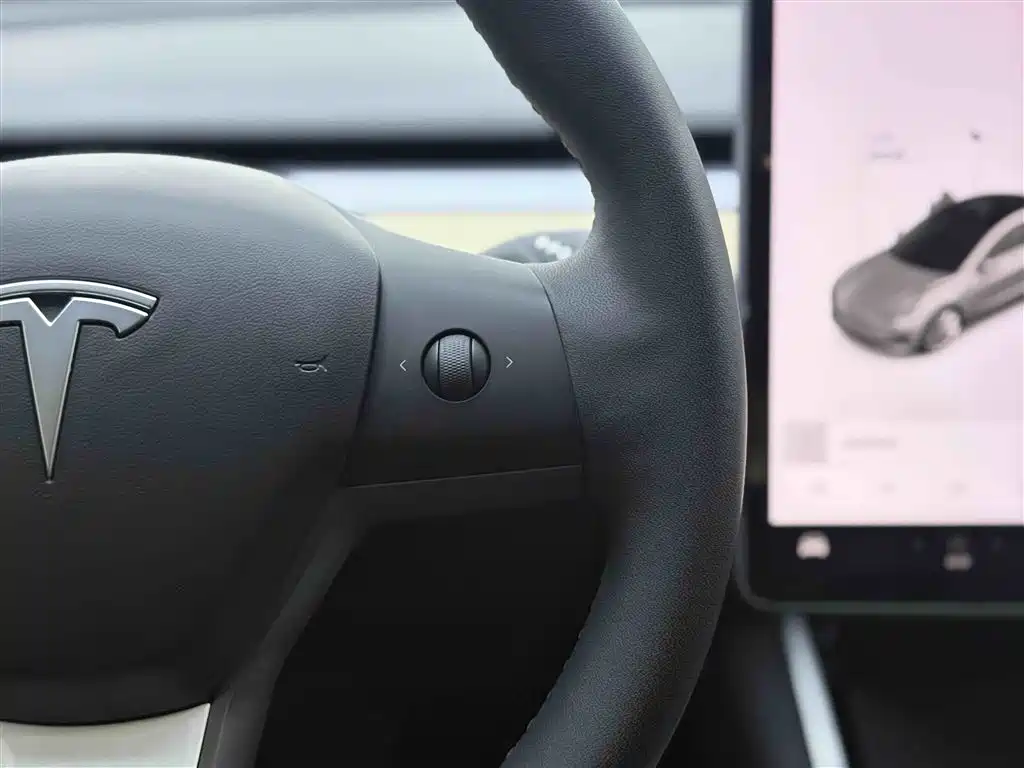 Model 3 2020 Long Range Rear-Wheel Drive