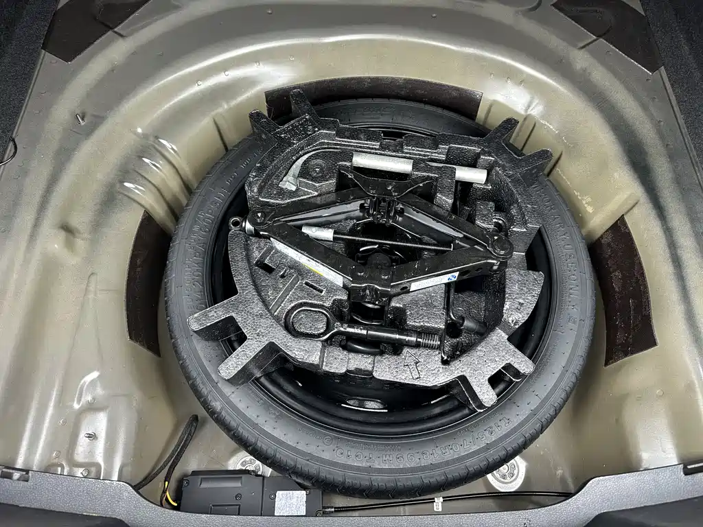 Volkswagen Magotan 2020 330TSI DSG Leading