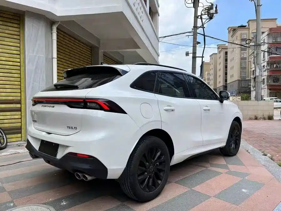 Forthing T5 EVO 2021 1.5TD DCT Platinum Edition Heat Wave