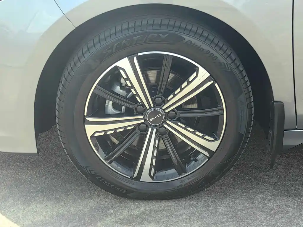 BYD Destroyer 05 2024 Honor Edition DM-i 120KM Luxury