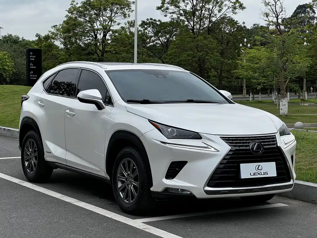 Lexus NX 2020 300h FWD F Sport China V