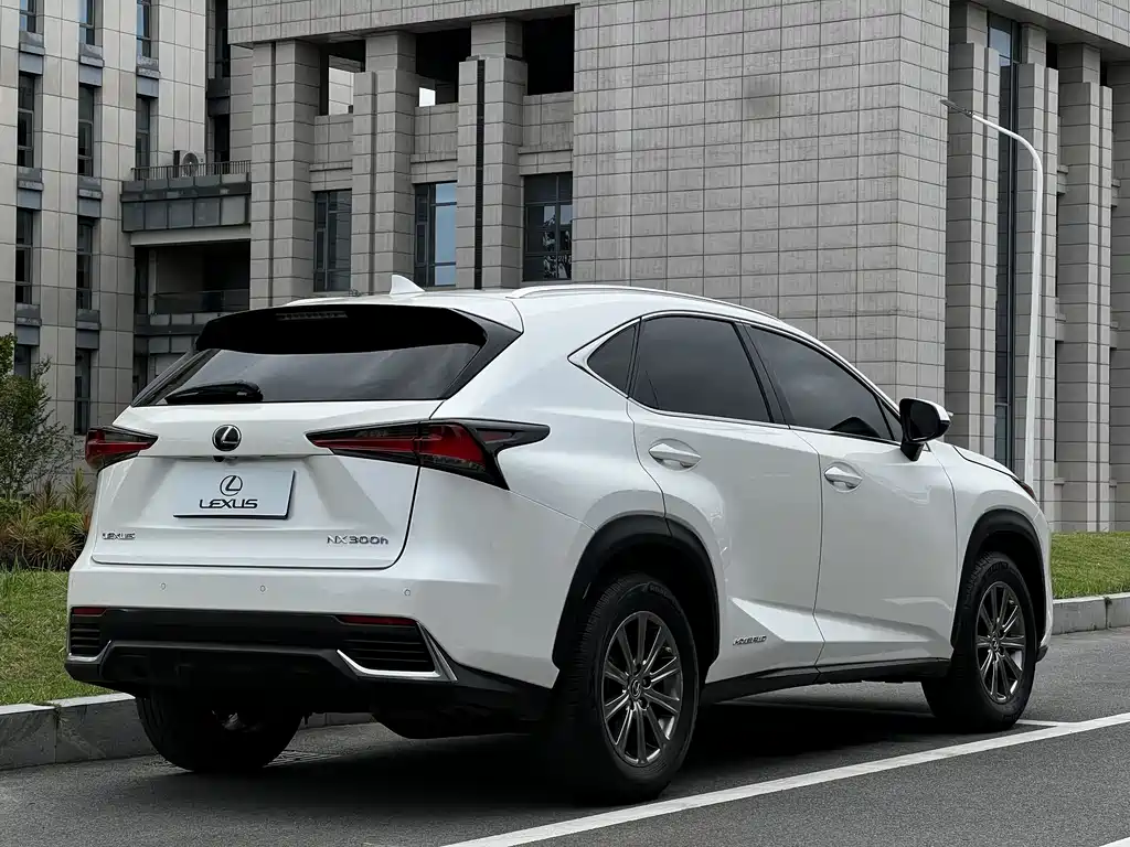 Lexus NX 2020 300h FWD F Sport China V