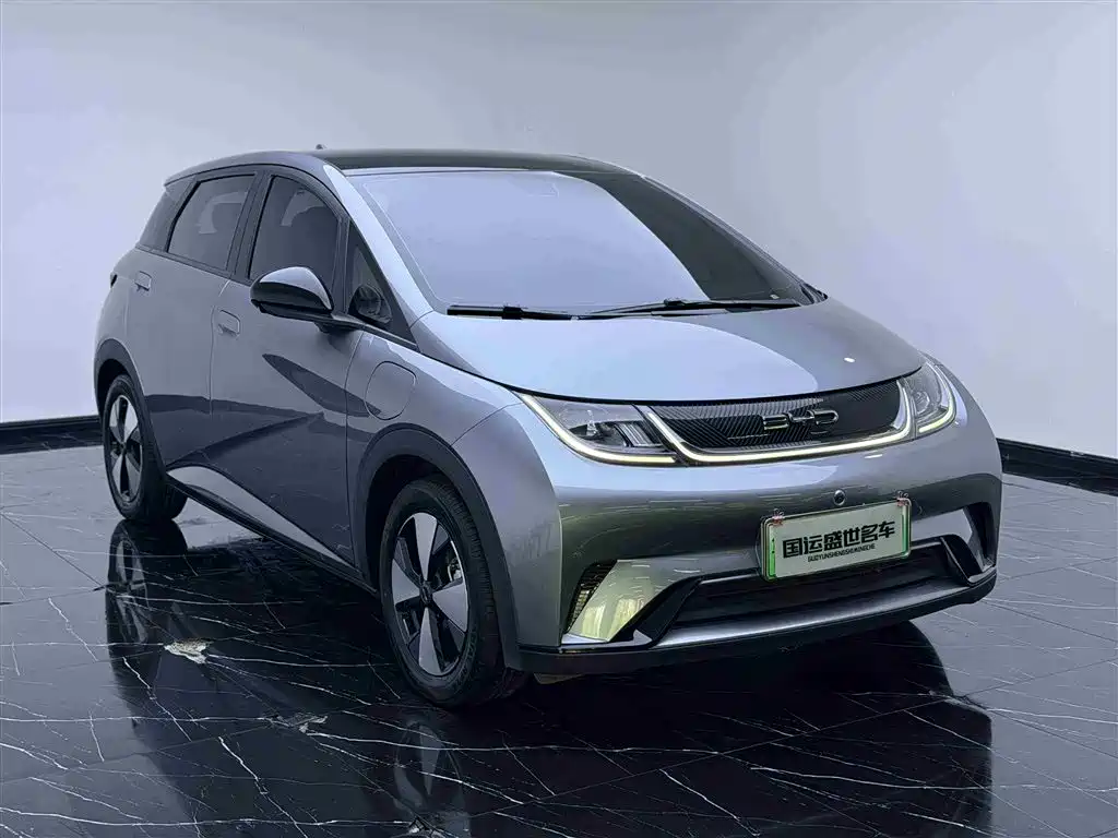 BYD Dolphin 2023 420km Trend
