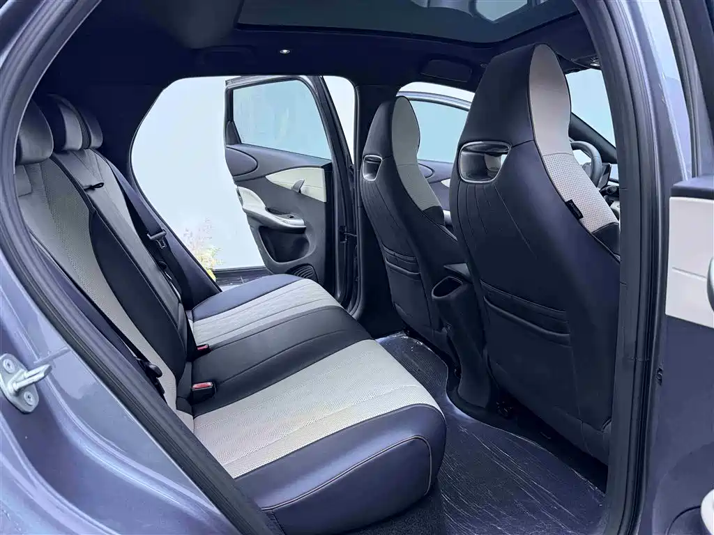 BYD Dolphin 2023 420km Trend